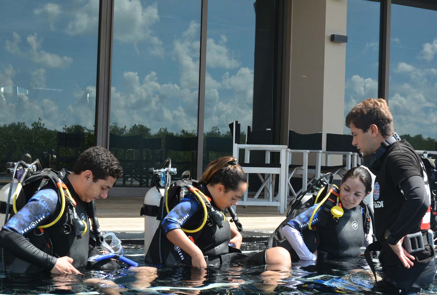 course-sdc-2-1 course-sdc-2-1
