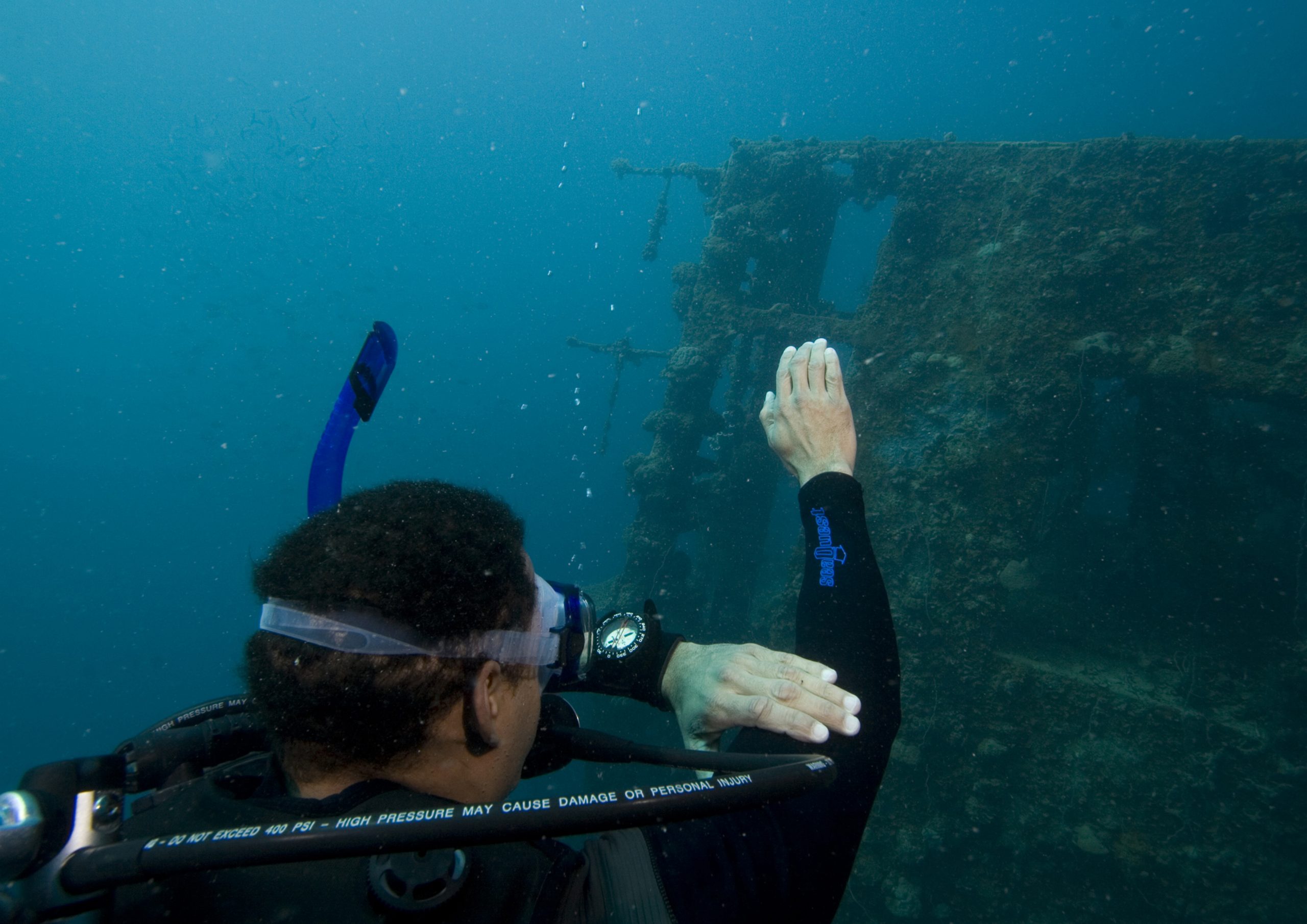 Diving Expeditions