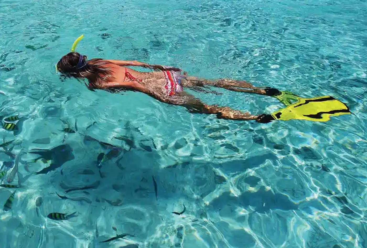 snorkeling-cancun-2 snorkeling-cancun-2